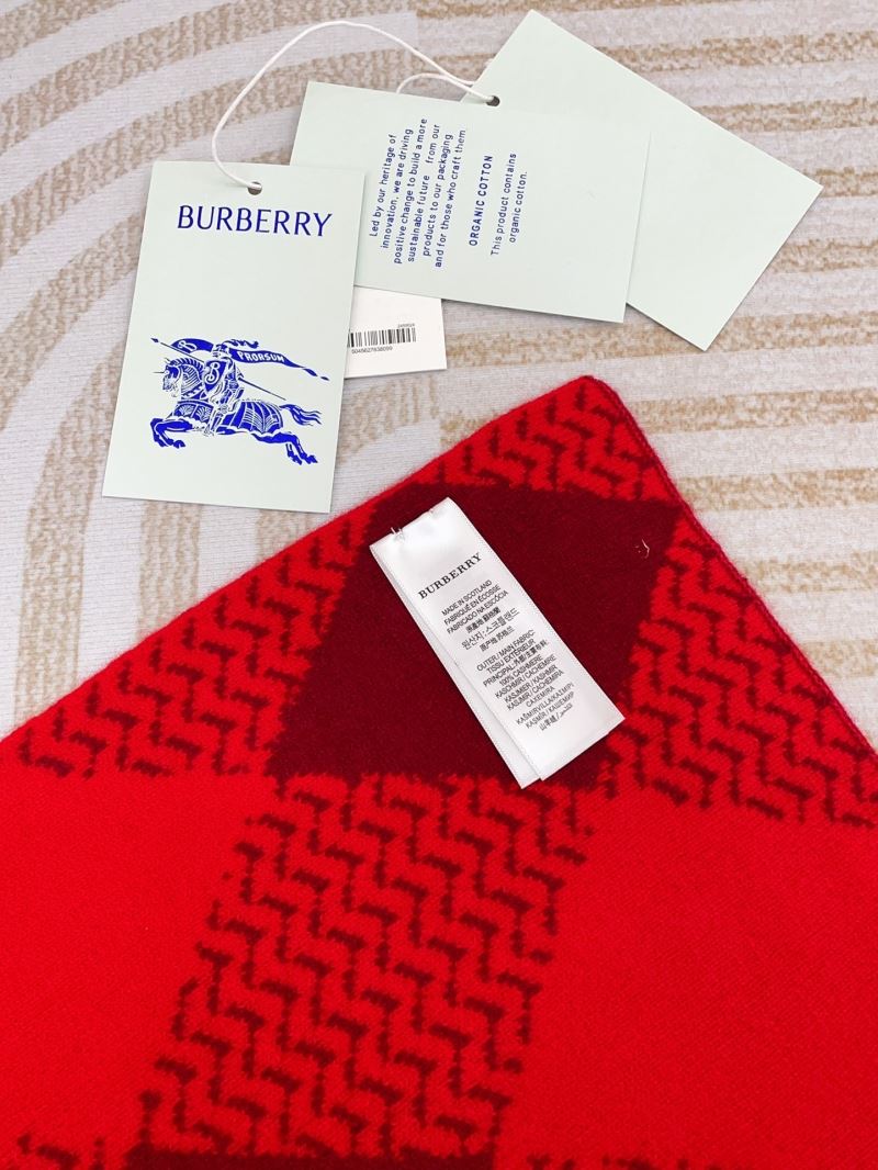 Burberry Scarf